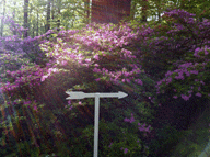 Rays of sun illuminating a pathway and directional sign.