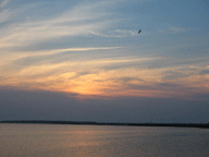 Bird soaring over calm open water with sun in the background.